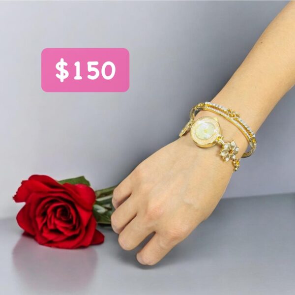 Set Elegante para Dama (se envia surtido) - Imagen 3