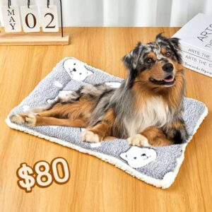 Cama para Mascotas 70 x 50 cm (se envia surtido)