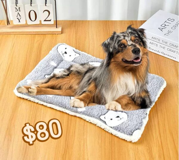 Cama para Mascotas 70 x 50 cm (se envia surtido)