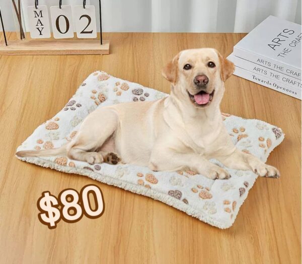 Cama para Mascotas 70 x 50 cm (se envia surtido) - Imagen 3