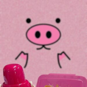 Lunch Box Puerquito (se envia surtido)