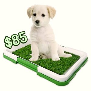 Tapete Para Mascota