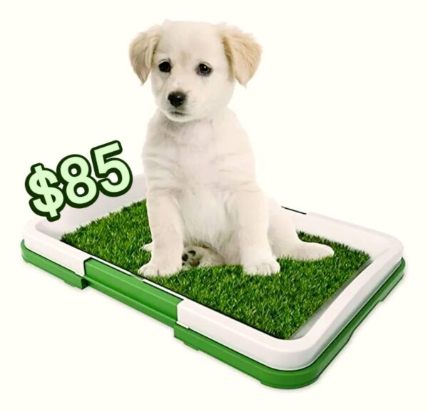 Tapete Para Mascota