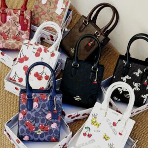 Bolsa Coach Mini Cuadada (se envia surtido)