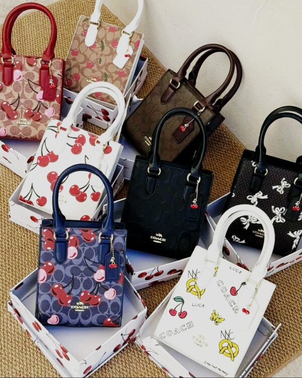 Bolsa Coach Mini Cuadada (se envia surtido)