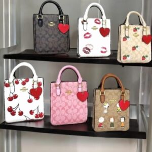 Bolsa Coach Mediana Cuadada (se envia surtido)