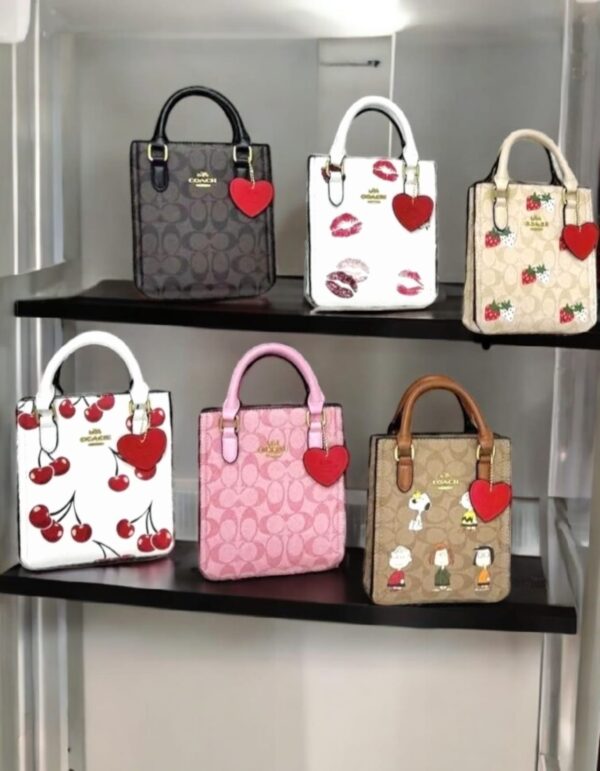Bolsa Coach Mediana Cuadada (se envia surtido)