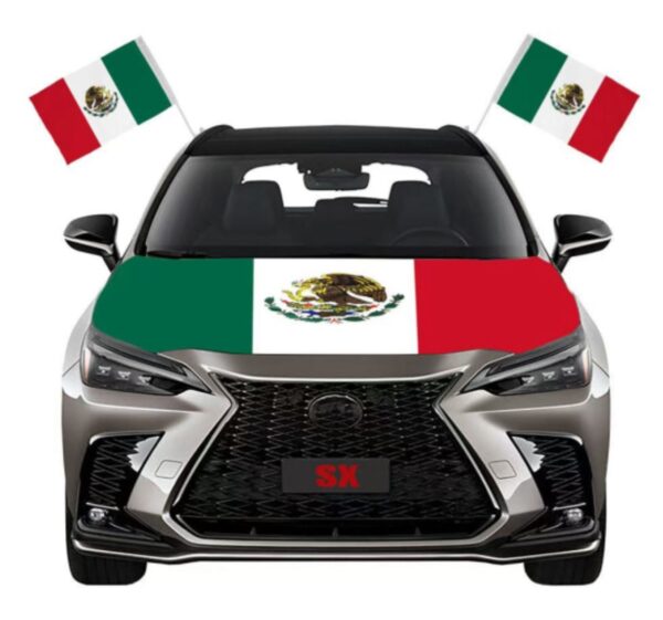 Funda Tricolor para Auto (se envia surtido) - Imagen 2