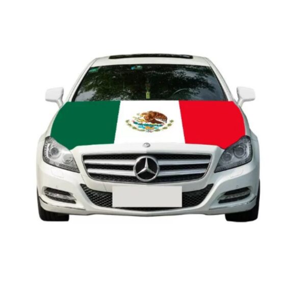 Funda Tricolor para Auto (se envia surtido) - Imagen 4