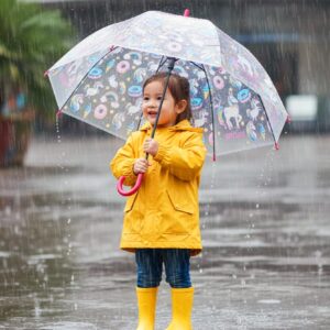 Paraguas de Baston (se envia surtido)