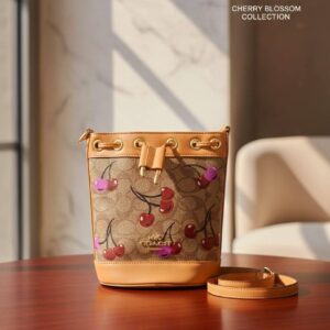 Morral tipo Coach (se envia surtido)