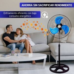 Ventilador 10 Pulgadas Caja 10 Pzas