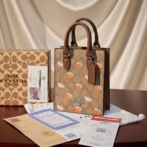 Mini Bolsa Coach (se envia surtido)