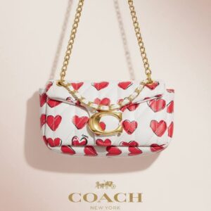 Bolsa Coach Cadena CH (se envia surtido)